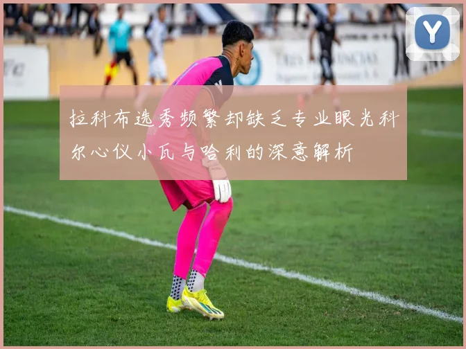 拉科布选秀频繁却缺乏专业眼光科尔心仪小瓦与哈利的深意解析