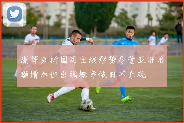 谢晖分析国足出线形势尽管亚洲名额增加但出线概率依旧不乐观